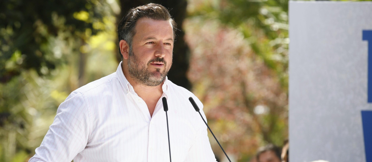 Imagen de archivo del alcalde de Elche, Pablo Ruz