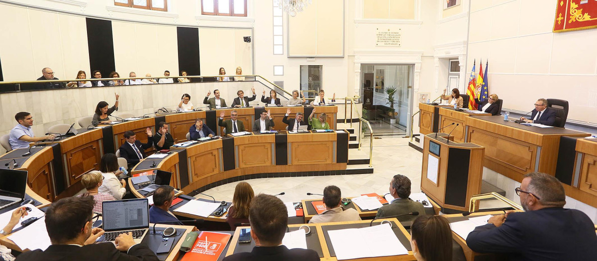 Pleno ordinario de la Diputación de Alicante