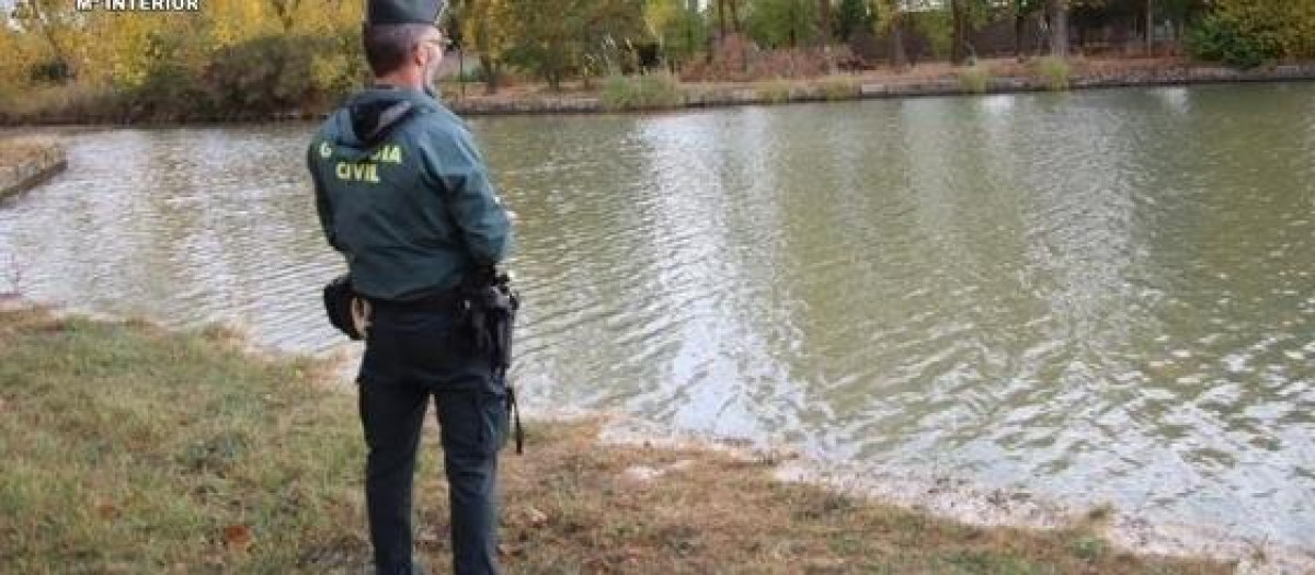 Labores de búsqueda del desaparecido en Medina de Rioseco (Valladolid).

REMITIDA / HANDOUT por GUARDIA CIVIL
Fotografía remitida a medios de comunicación exclusivamente para ilustrar la noticia a la que hace referencia la imagen, y citando la procedencia de la imagen en la firma
20/10/2025
