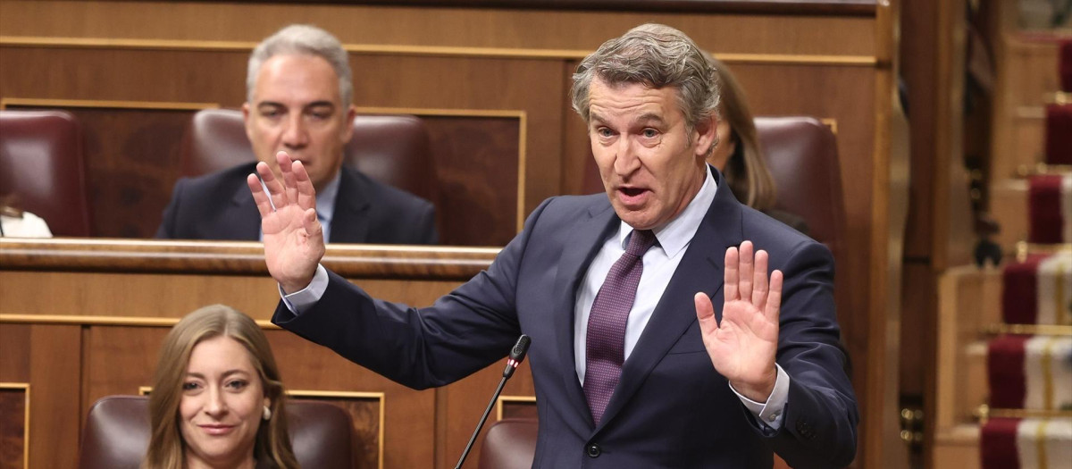 El presidente del Partido Popular, Alberto Núñez Feijóo