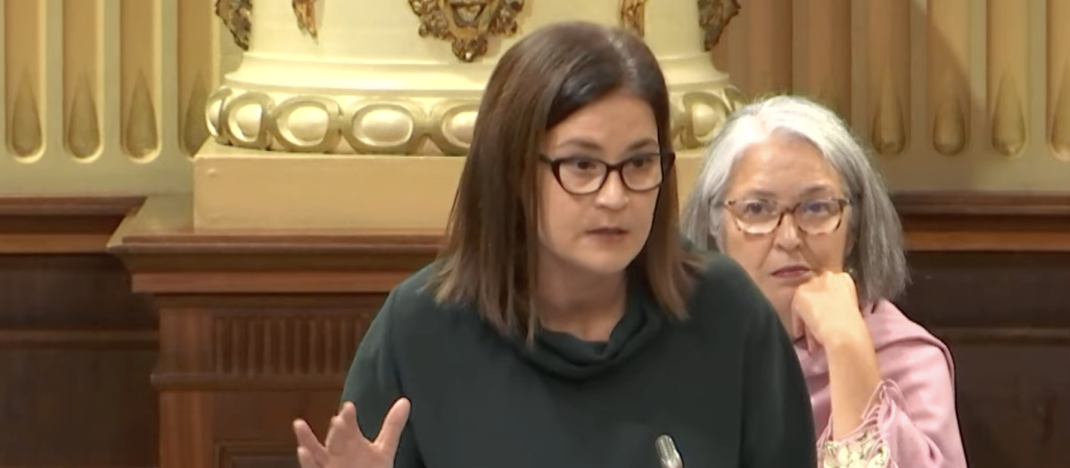 La diputada socialista Irantzu Fernández durante un pleno.