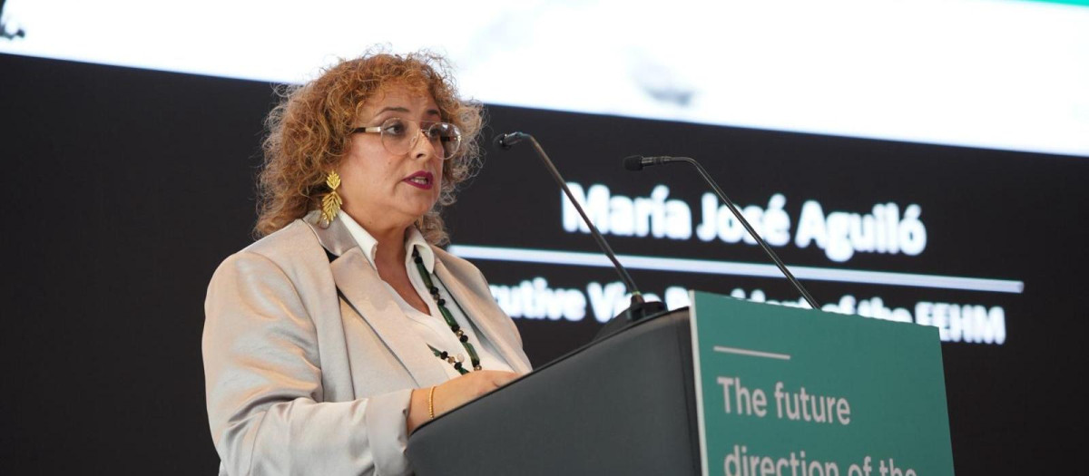 Imagen de María José Aguiló, vicepresidenta ejecutiva de FEHM