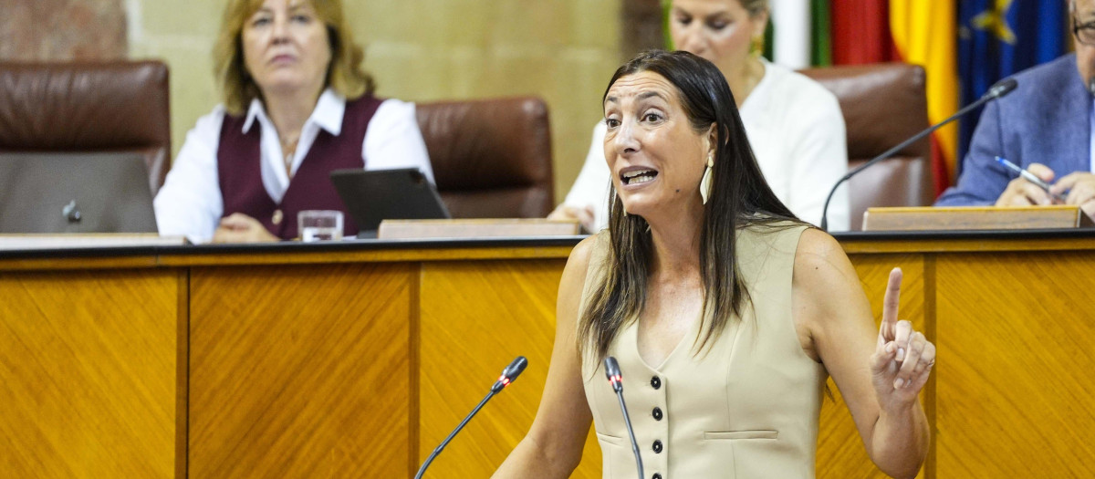 La consejera de Inclusión Social, Juventud, Familias e Igualdad, Loles López, en el Parlamento andaluz.

REMITIDA / HANDOUT por JOAQUÍN CORCHERO/PARLAMENTO DE ANDALUCÍA
Fotografía remitida a medios de comunicación exclusivamente para ilustrar la noticia a la que hace referencia la imagen, y citando la procedencia de la imagen en la firma
23/10/2025