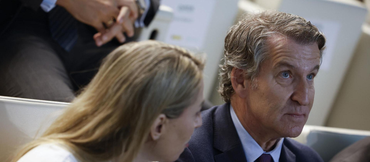 Feijóo critica el «espectáculo» de Sánchez con la dana: «Pido un poco de  respeto»