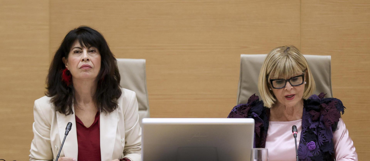 La ministra de Igualdad, Ana Redondo (i), comparece en la comisión de Igualdad del Congreso