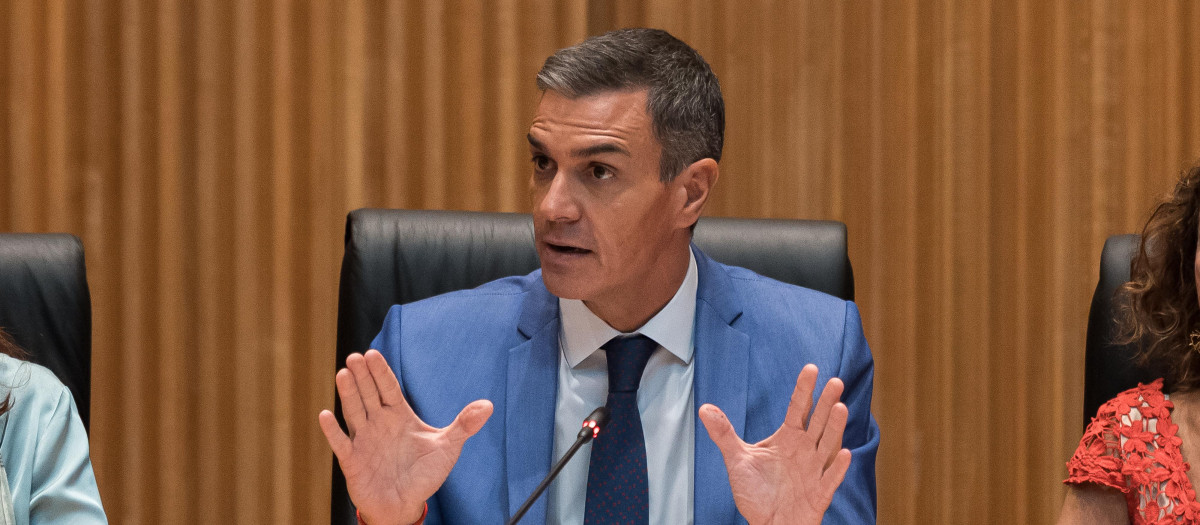 El presidente del Gobierno, Pedro Sánchez, en el Senado