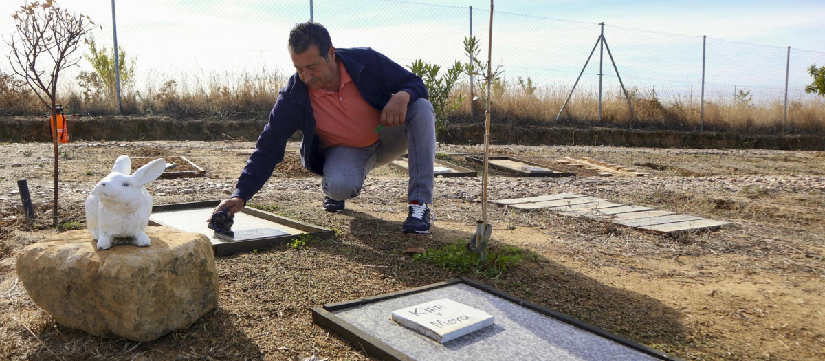 Cementerio de mascotas en Morales del Vino, en el alfoz de Zamora