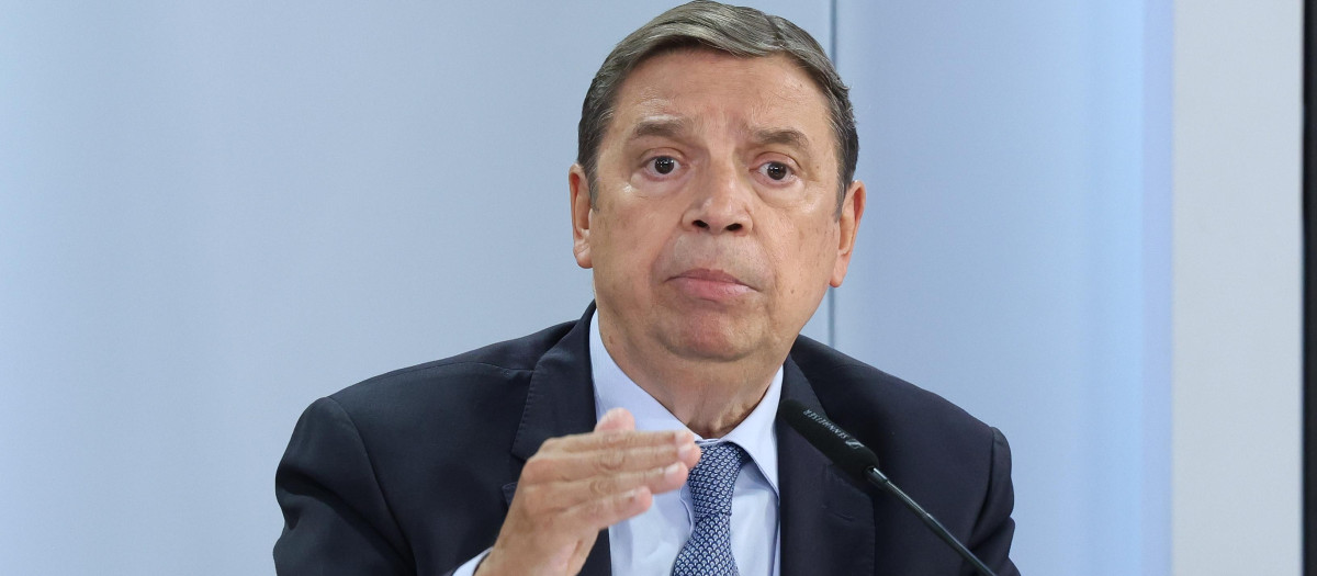 El ministro de Agricultura, Pesca y Alimentación, Luis Planas
