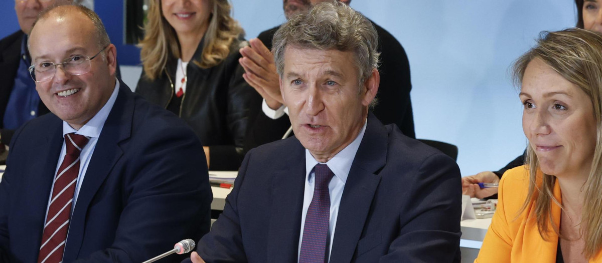 El presidente del Partido Popular, Alberto Núñez Feijóo
