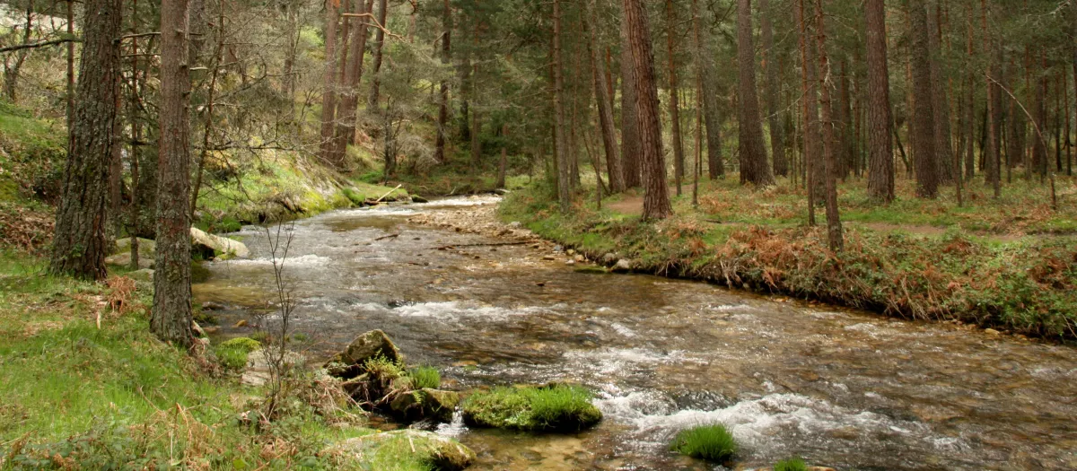 As funciona el `Google Maps que rastrea los orgenes del hombre en Castilla y Len