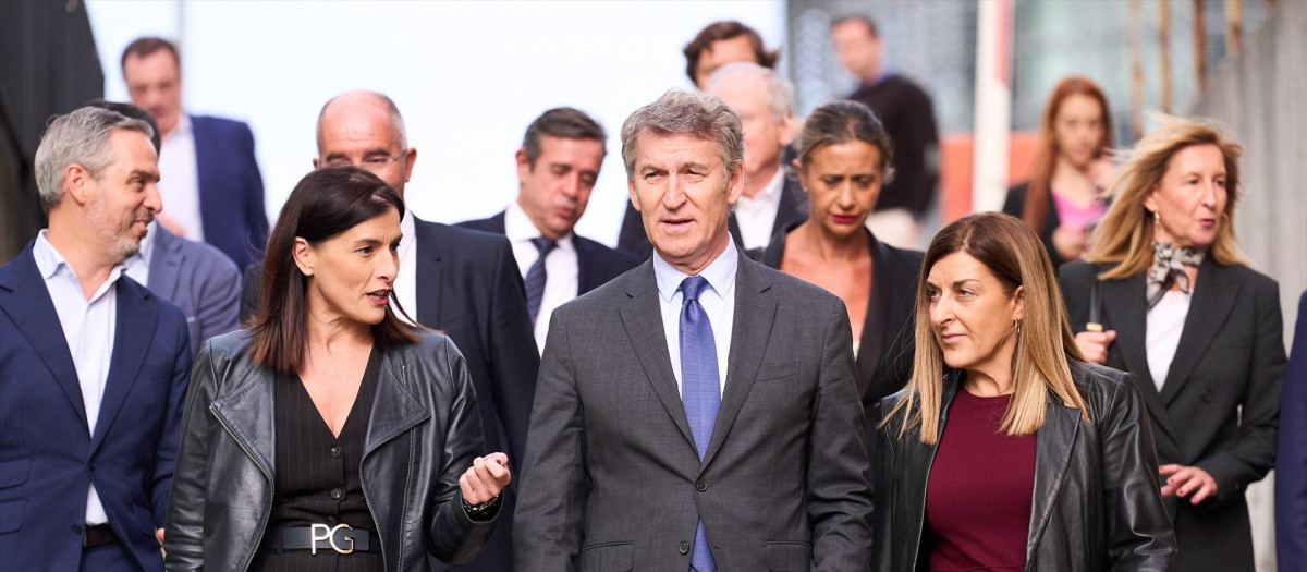 El presidente del Partido Popular, Alberto Núñez Fejióo