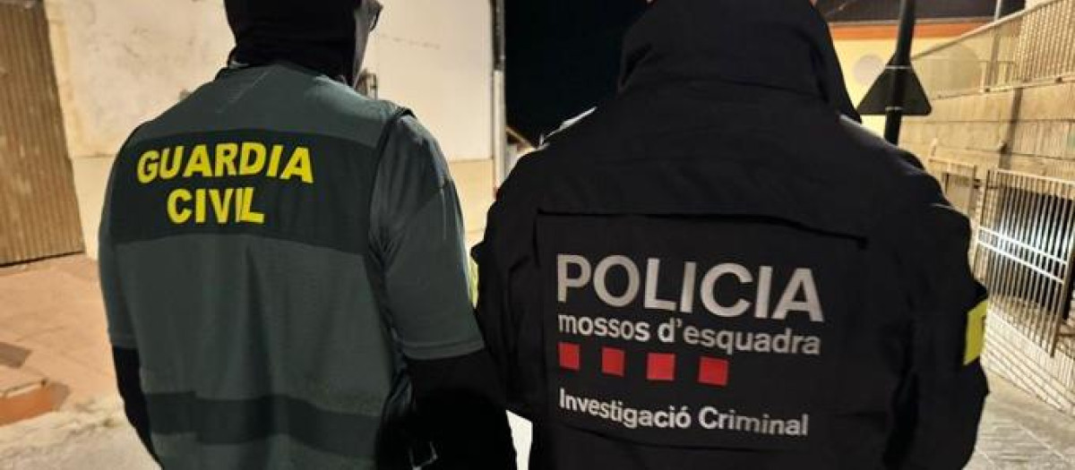 En la operación han colaborado los Mossos d'Esquadra y la Guardia Civil