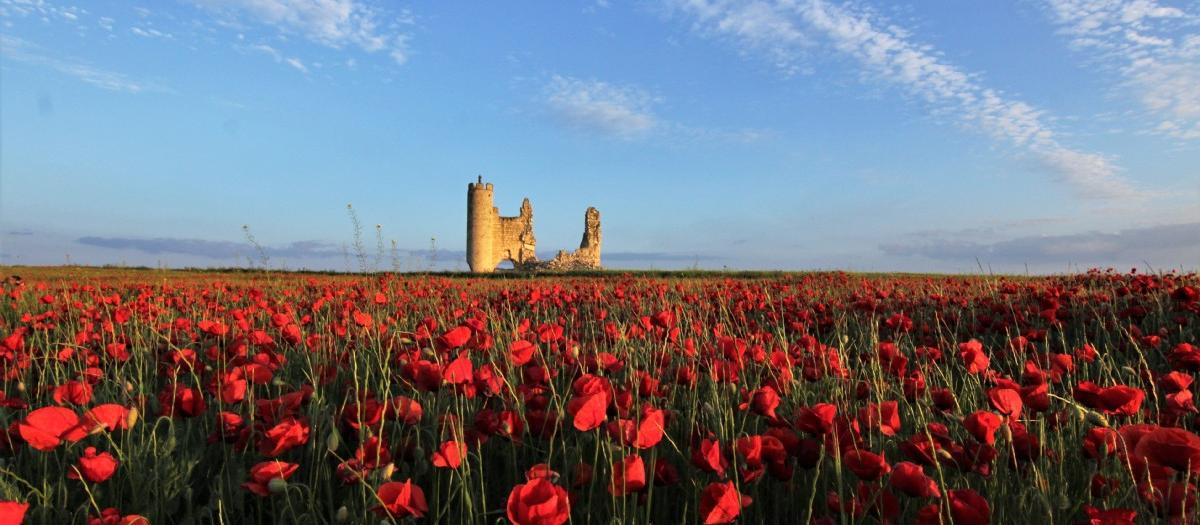 Castillo de Santo Domingo, Caudilla, Toledo