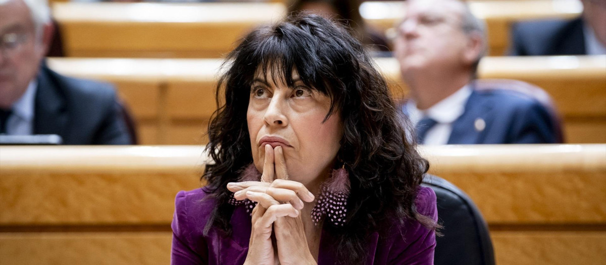 La ministra de Igualdad, Ana Redondo, durante una sesión plenaria