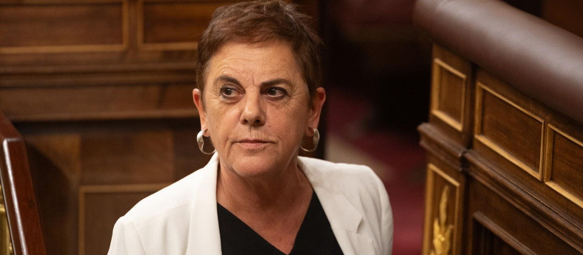 La portavoz de Bildu en el Congreso, Mertxe Aizpurua