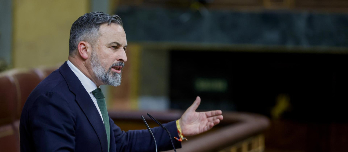 El líder de Vox, Santiago Abascal, el miércoles en el Congreso
