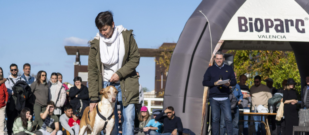 Imagen de archivo del desfile AUPA y Fundación Bioparc