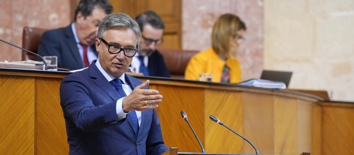 El portavoz de Vox en Andalucía, Manuel Gavira, en el pasado debate de totalidad de los presupuestos de 2026