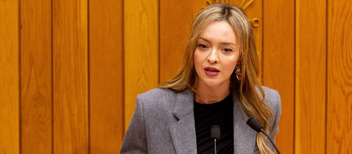 La consejera de Política Social e Igualdad, Fabiola García, comparece en el pleno del Parlamento de Galicia