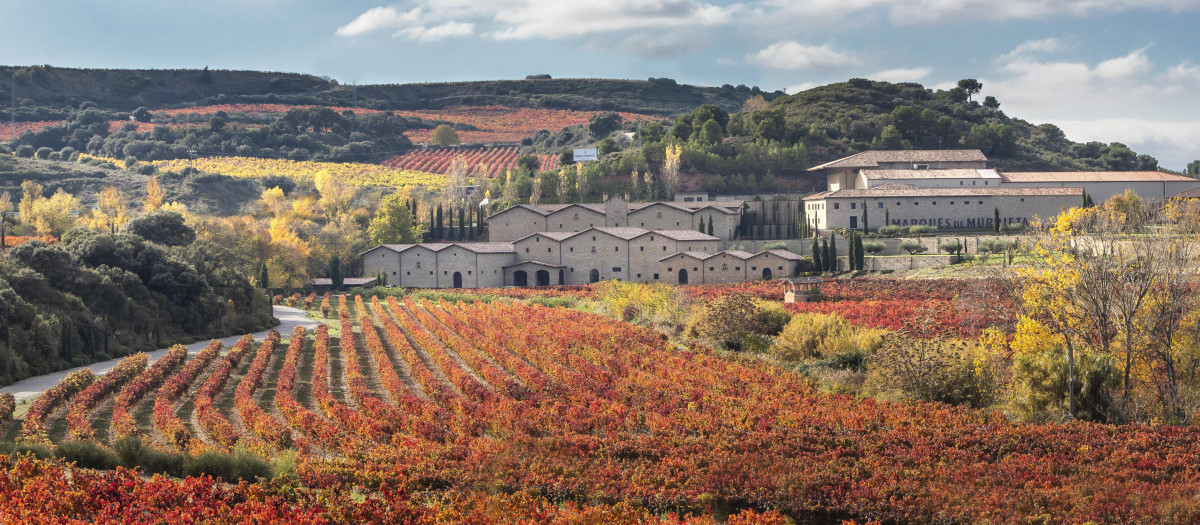 La bodega Marqués de Murrieta en Rioja Alta