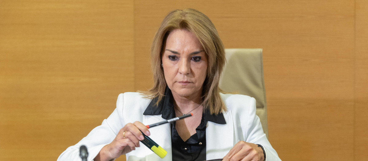 Imagen de la vicepresidenta de la Generalitat, Susana Camarero, tomada este lunes en el Congreso
Eduardo Parra / Europa Press
24/11/2025