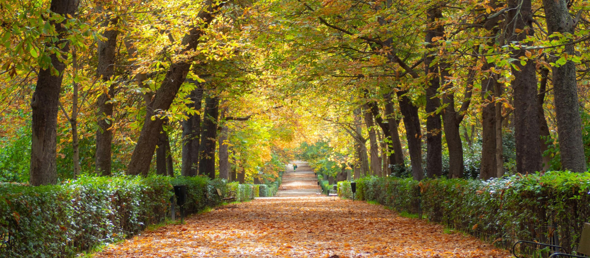 El parque de El Retiro, en otoño
