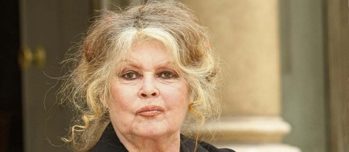 Brigitte Bardot, en una imagen de archivo