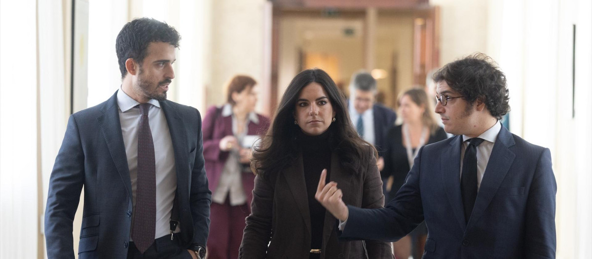 La portavoz de Vox en el Congreso, Pepa Millán, y los diputados Carlos Hernández Quero y José María Figaredo