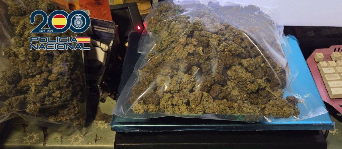 Seis detenidos al desmantelar un punto de venta de droga con apariencia de asociación legal en Dénia

REMITIDA / HANDOUT por POLICÍA NACIONAL
Fotografía remitida a medios de comunicación exclusivamente para ilustrar la noticia a la que hace referencia la imagen, y citando la procedencia de la imagen en la firma
26/11/2025