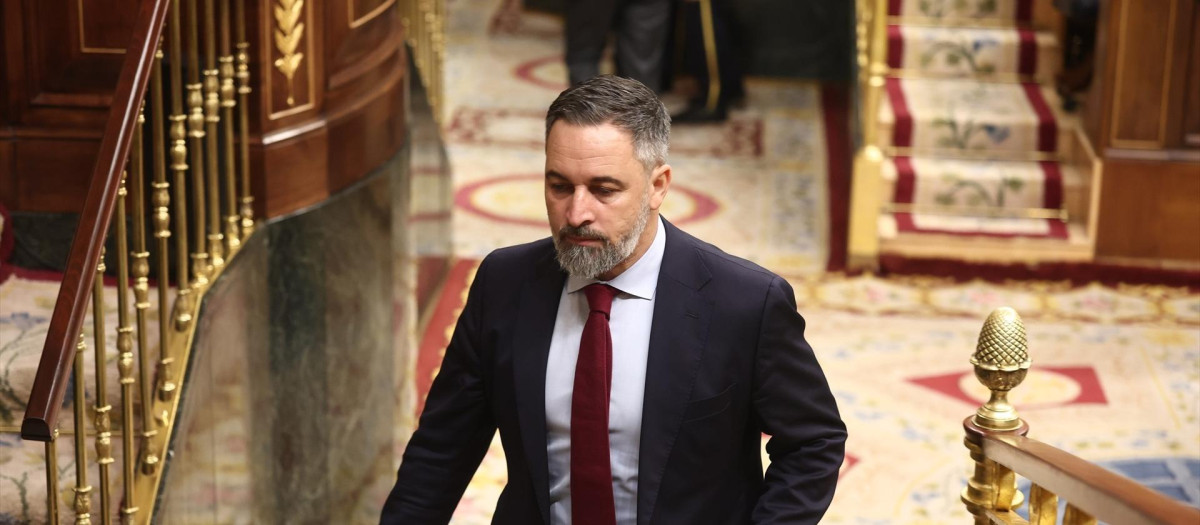 El presidente de Vox, Santiago Abascal, durante una sesión de control al Gobierno, en el Congreso