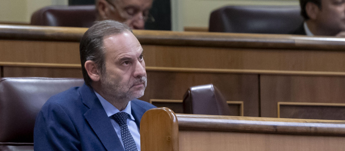 El diputado del Grupo Mixto, José Luis Ábalos