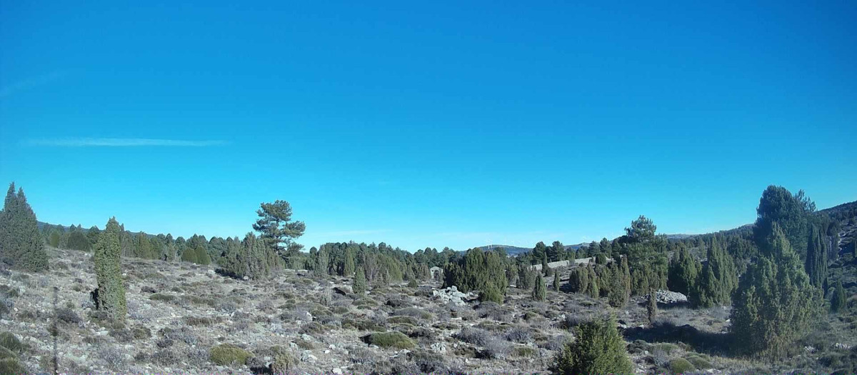 Imagen desde la estación situada en la localidad castellonense de Vilafranca.