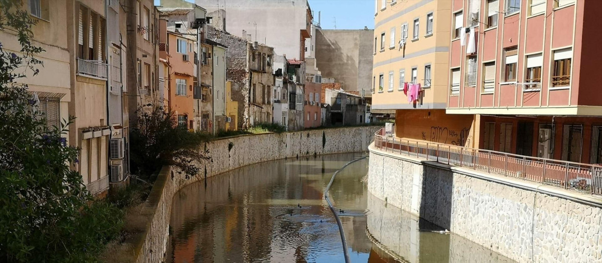 Imagen del río Segura a su paso por Orihuela (Alicante)