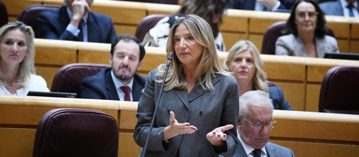 La portavoz del PP en el Senado, Alicia García, durante una sesión de control al Gobierno