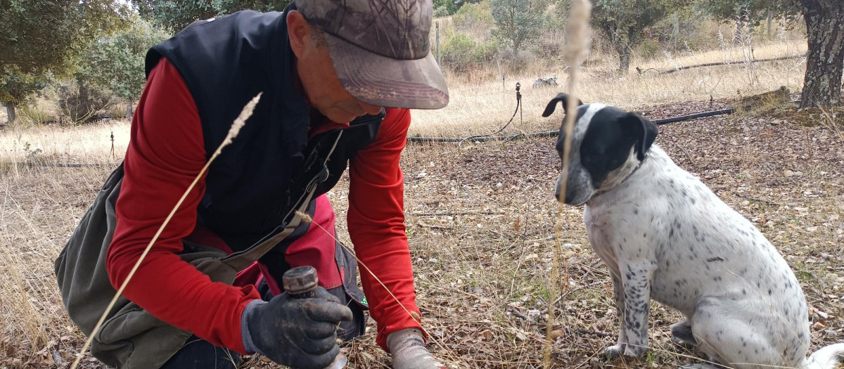 Javier López, de Encitruf, una empresa de Soria dedicada a la trufa
