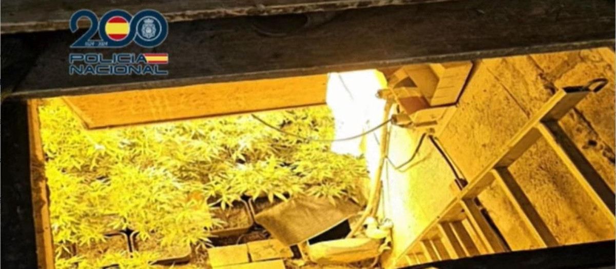 Entrada al búnker de marihuana en Sanlúcar de Barrameda
