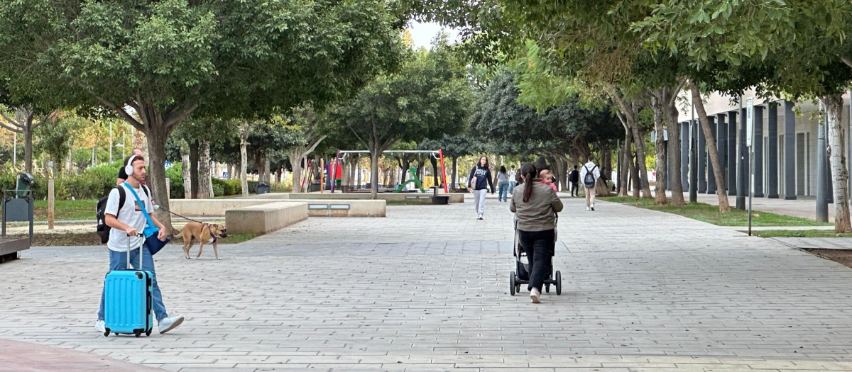 Avenida Vicente Savall de San Vicente del Raspeig