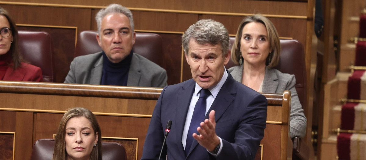 El presidente del Partido Popular, Alberto Núñez Feijóo, en el Congreso