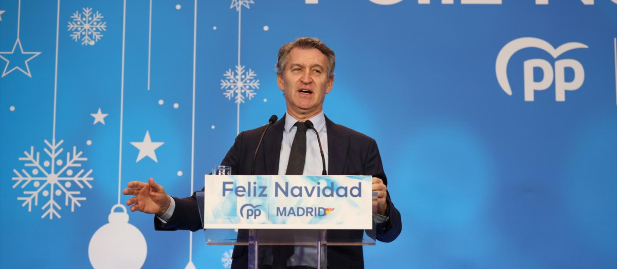 El presidente del Partido Popular, Alberto Núñez Feijóo