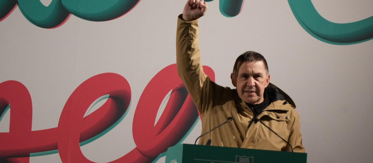El secretario general de EH Bildu, Arnaldo Otegi