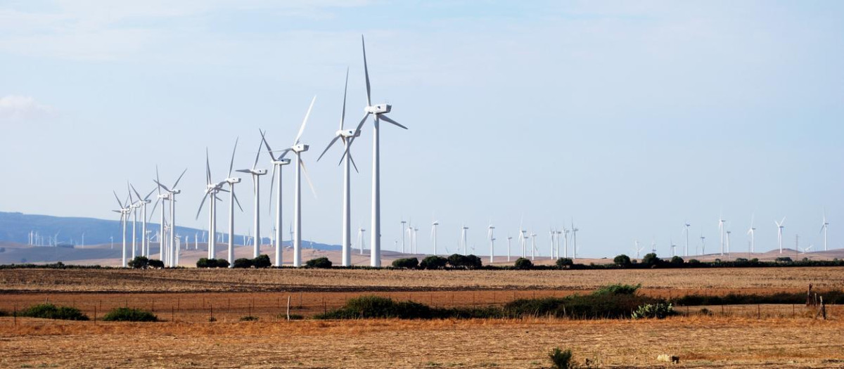 Parque eólico en Vejer de la Frontera.