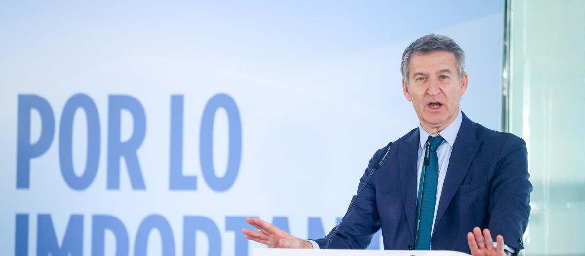 El presidente del Partido Popular, Alberto Núñez Feijóo.