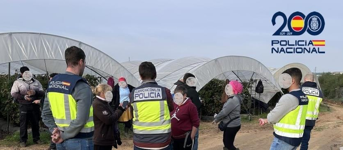 Agentes de la Policía Nacional, en una de las explotaciones agrícolas