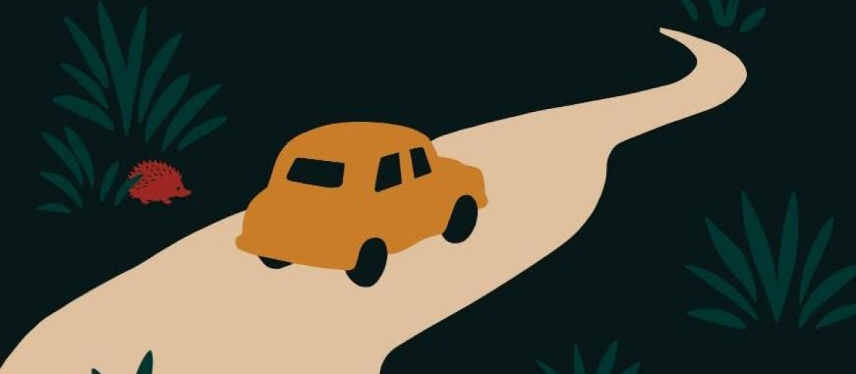 Cubierta de 'Milagro en el valle'