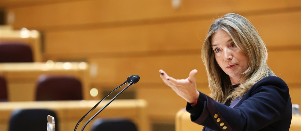 La portavoz del PP en el Senado, Alicia García, durante una sesión plenaria extraordinaria