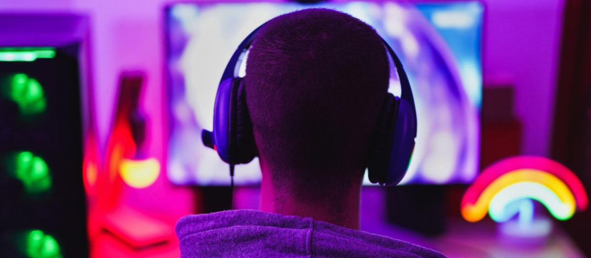 Un adolescente en su ordenador