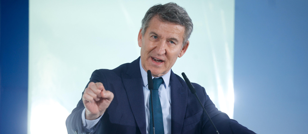 El presidente del Partido Popular, Alberto Núñez Feijóo