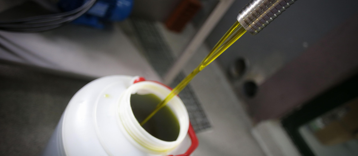 Aceite de primer prensado en frío tras el primer filtrado