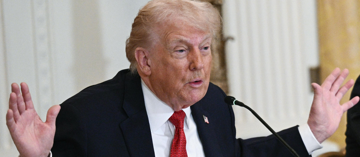 El presidente de Estados Unidos, Donald Trump, habla durante una mesa redonda sobre inversiones en atención médica rural en la Sala Este de la Casa Blanca en Washington, D.C