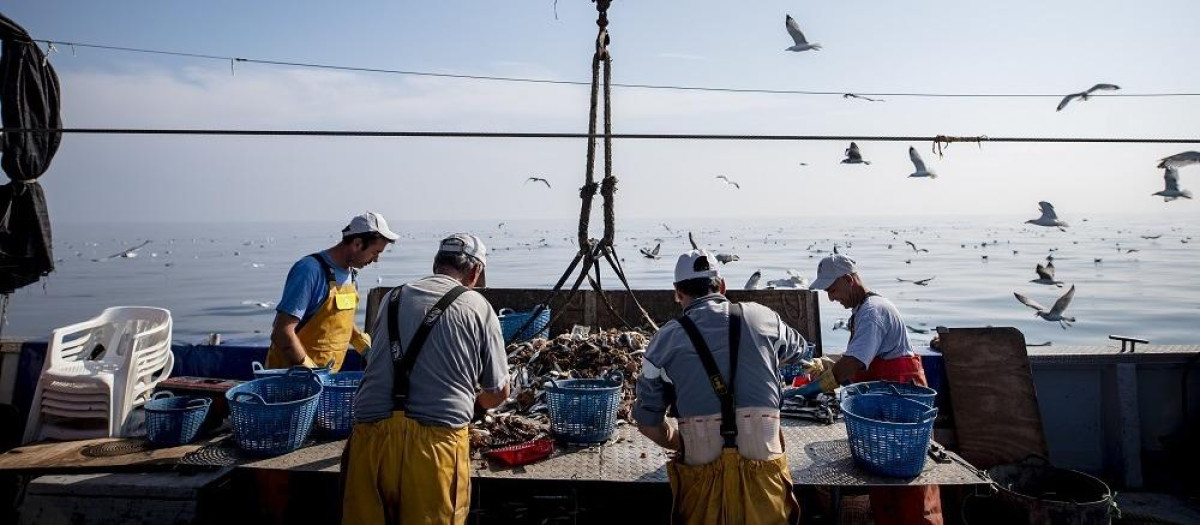 Imagen de archivo de varios pescadores faenando

REMITIDA / HANDOUT por UPCYCLING THE OCEANS
Fotografía remitida a medios de comunicación exclusivamente para ilustrar la noticia a la que hace referencia la imagen, y citando la procedencia de la imagen en la firma
29/10/2019